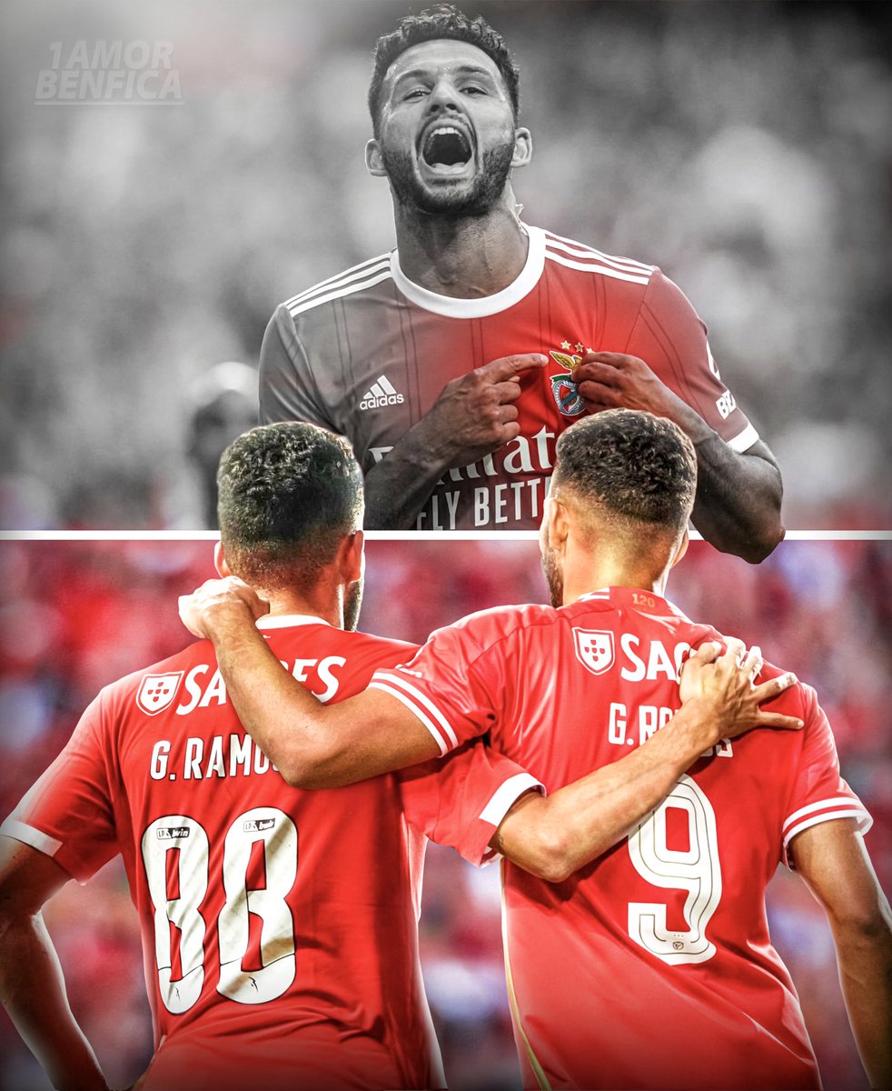 Custa sempre despedirmo-nos dos nossos, Obrigado Gonçalo, um de nós ! ❤️🦅