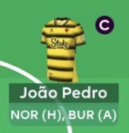 FPL_Calle's tweet photo. Just wanted to say that I had Joao Pedro before it was cool

In a gameweek that went down in FPL history https://t.co/2skpF28MLW