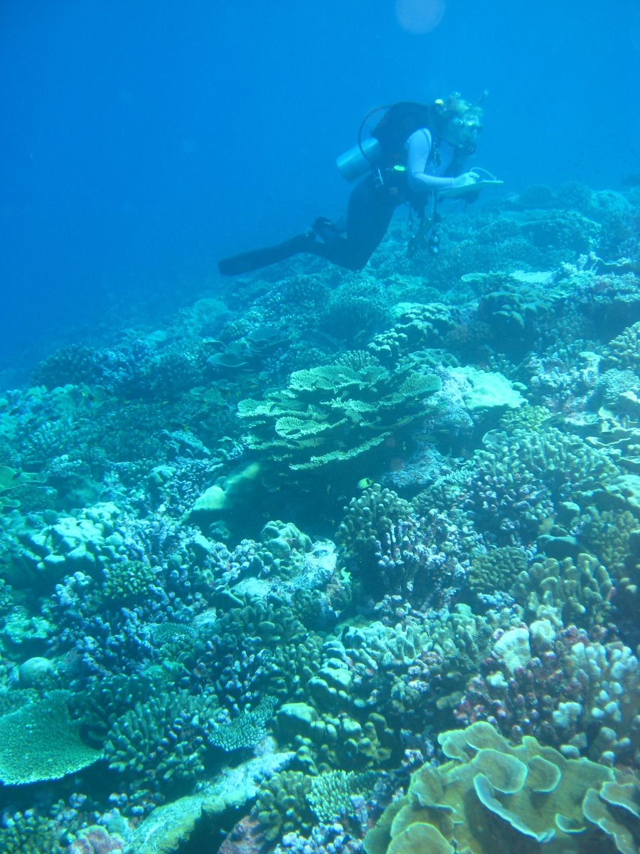 ESA_org's tweet photo. Mary Donovan @fishymary, Assistant Professor @ASU, has been elected as an ESA Early Career Fellow in recognition of her socio-ecological systems research, which has informed the management &amp; conservation of coral reefs. Congrats! #ESA2023 https://t.co/LZUQfu2qH2