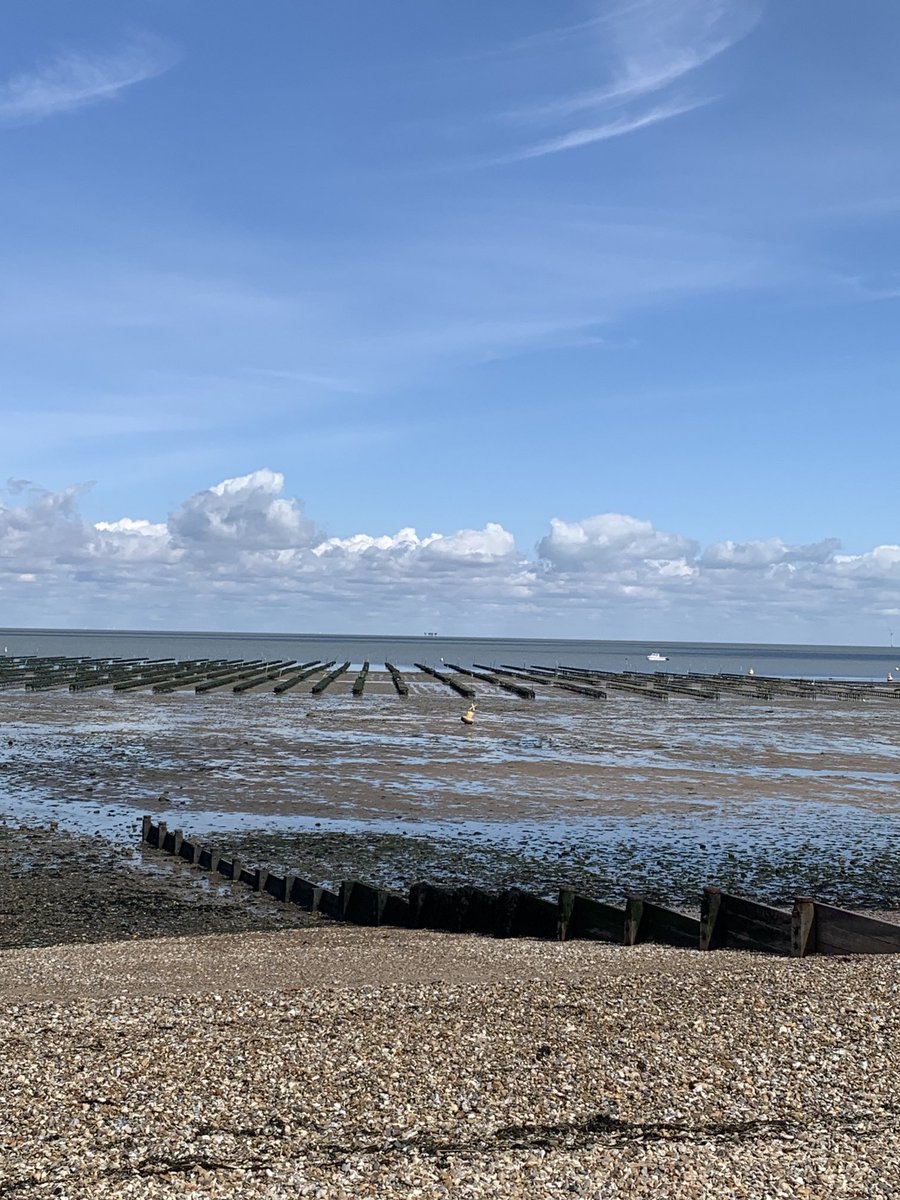 dleigh_david's tweet photo. The tied being so far out today in Whitstable, with beautiful weather, made for some interesting views. #whitstable #whitstablelive https://t.co/Rpx4Asg7uj