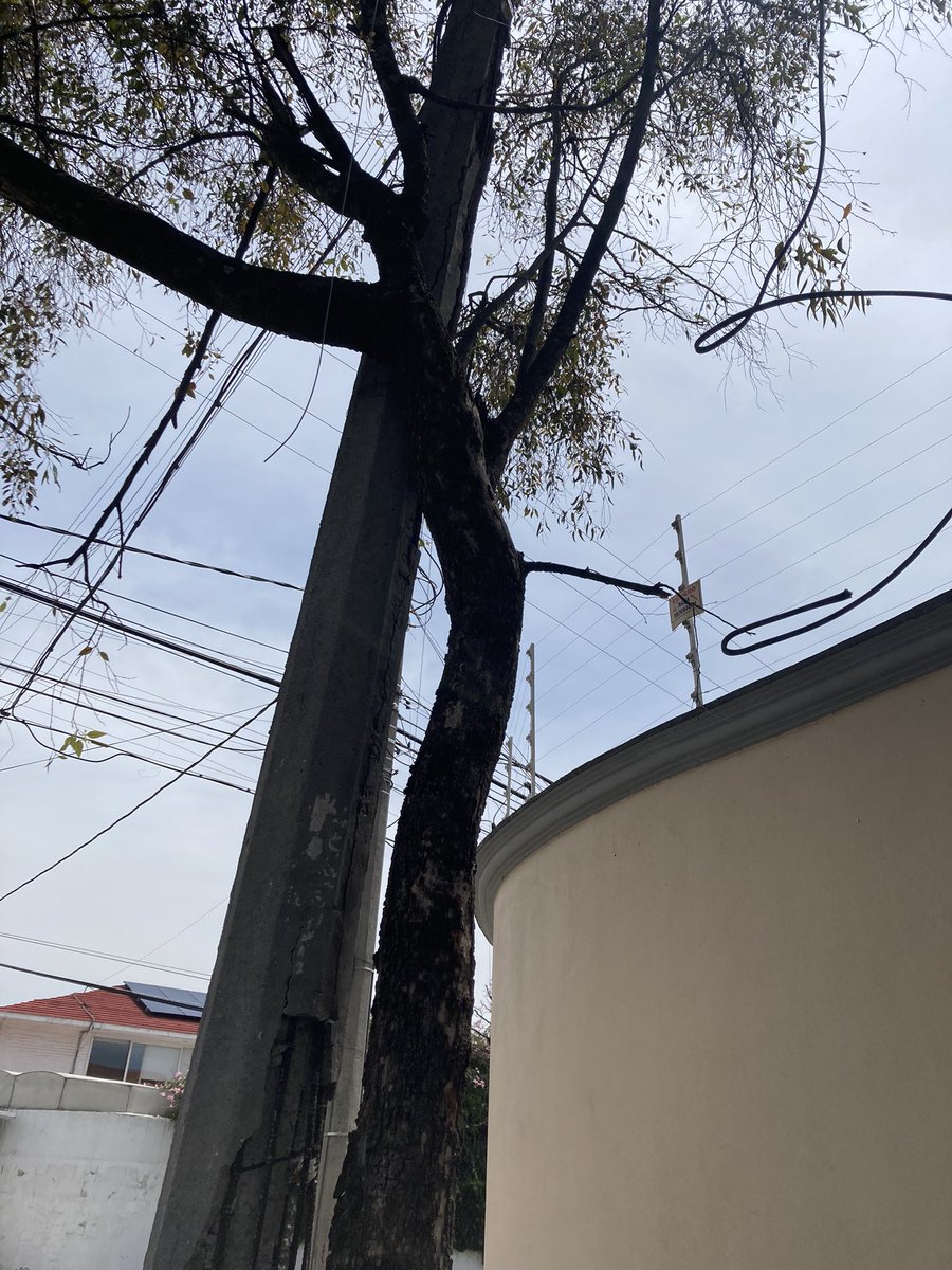 Me van a hacer caso <a href="/ColonosTK/">AsociaciónColonosTK</a> ? Les estoy diciendo qué hay otro poste por caerse en Fuente de Júpiter esquina Fuente de Aguilas. Pagamos cuota y participación con ustedes ! Somos miembros desde hace años! Hagan caso porfavor <a href="/ColonosTK/">AsociaciónColonosTK</a>