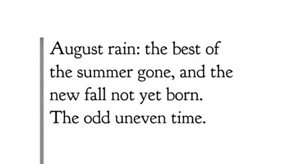 lenaozge's tweet image. Sylvia Plath 🖤