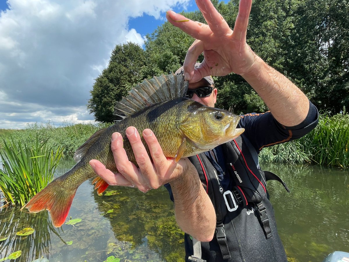 EnvAgencyAnglia's tweet photo. We have completed our fish surveys on the River Stour.

The surveys provide valuable long-term data on the health of our rivers. 

When uploaded you will be able to see the results here: https://t.co/2U0StlagD1

These snaps were taken at Lamarsh #Essex #Fish https://t.co/YREwGDbK5G