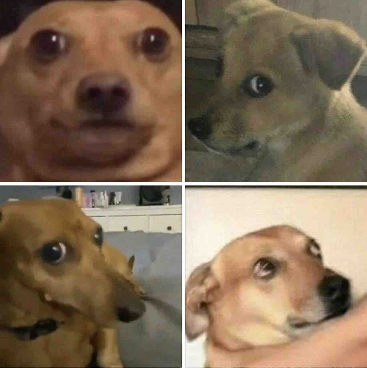 “No sé porque piensan que soy criticón”

Mi cara: