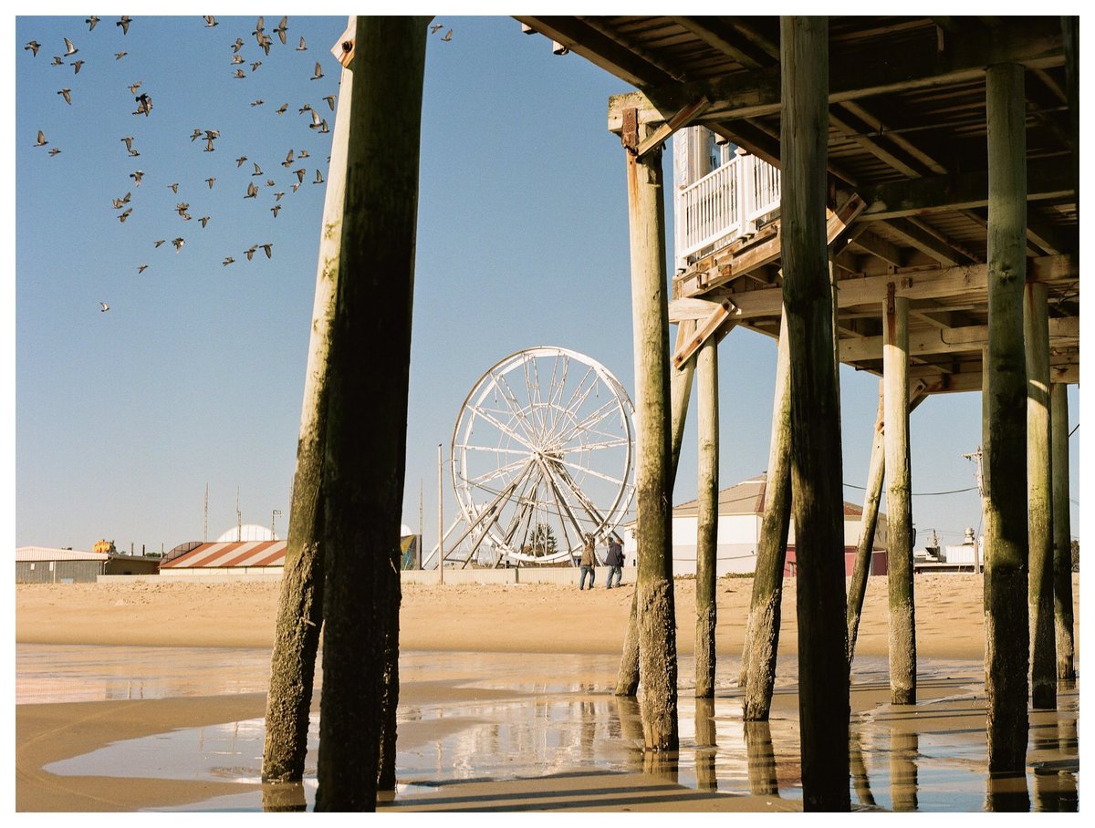 <a href="/moment/">Moment</a> So many, but gotta go with this one! Shot on Kodak Gold 200.