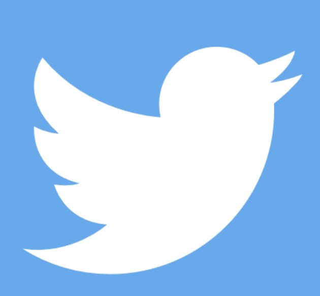 Kimannbolte's tweet photo. I want the bird back! https://t.co/V4LSAoBnLg