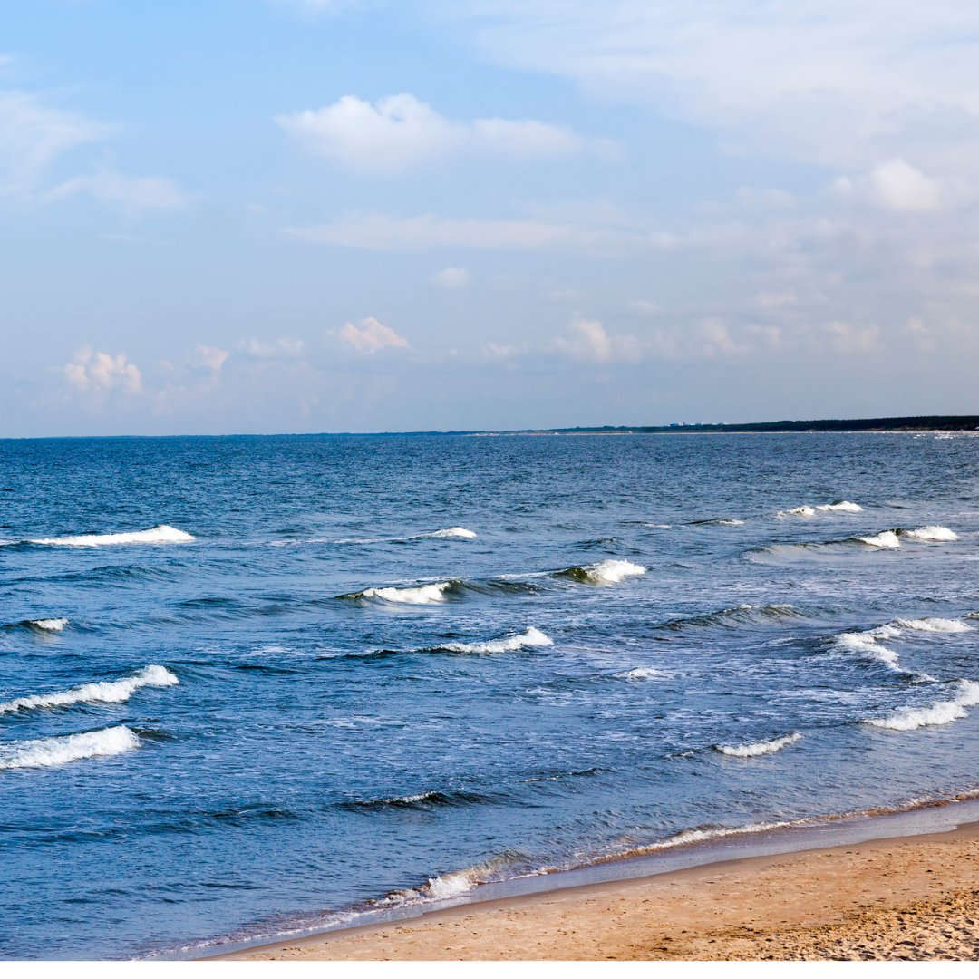 eco_loves's tweet photo. There's just something about the ocean. Let's protect it. https://t.co/bmuwUfhxzH