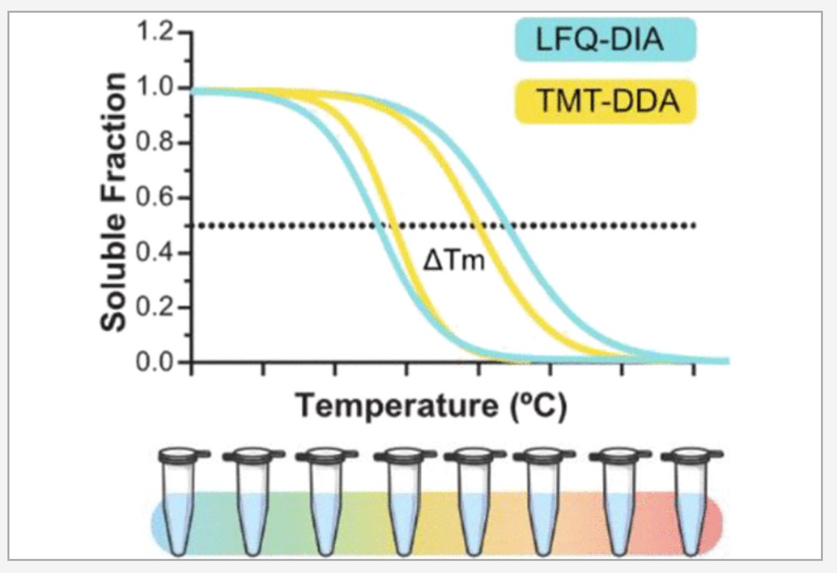 PastelBio's tweet photo. Comparison of Quantitative Mass Spectrometric Methods for Drug Target Identification by Thermal Proteome Profiling | https://t.co/GkyYG0F7LS #proteomics https://t.co/vuDjLb7AQl