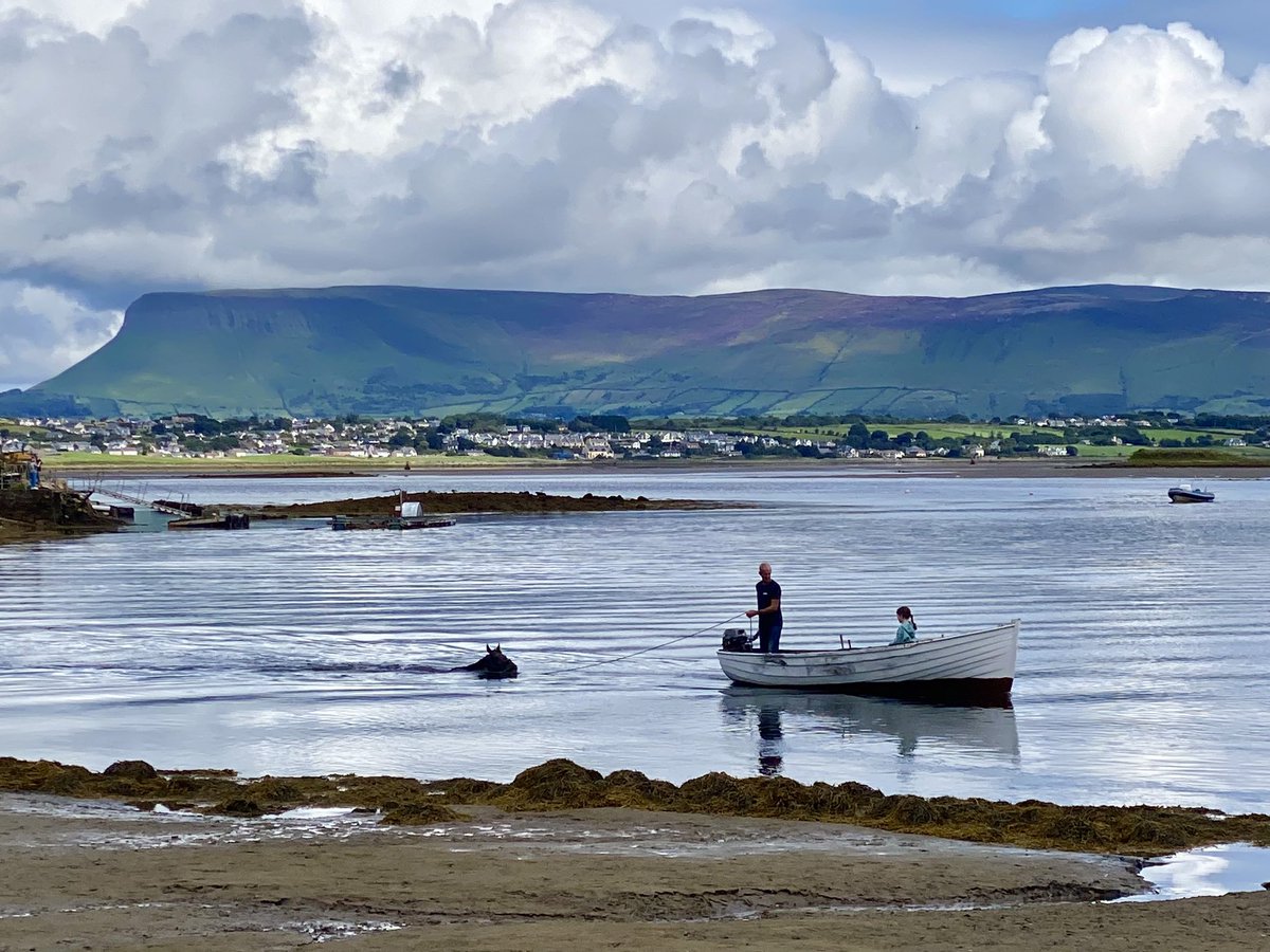 The Water-Horse
.
#ireland #wildatlanticway #dogsofireland #stormhour #benbulben #ThePhotoHour #discoverIreland