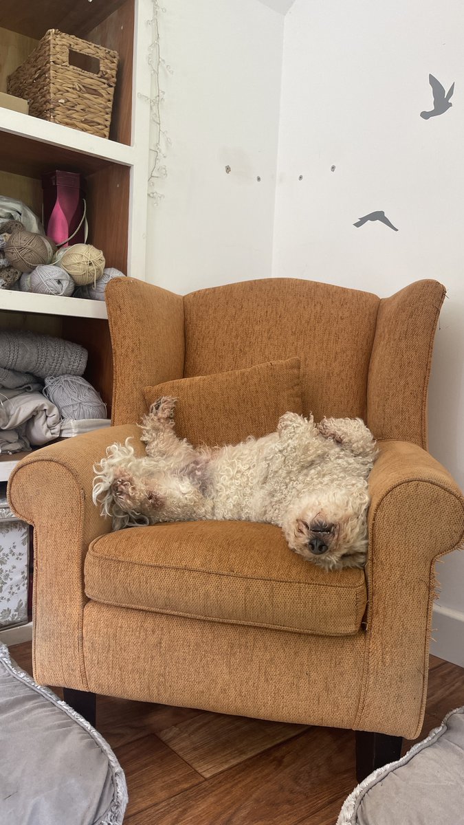 Phil Sledge tweet media