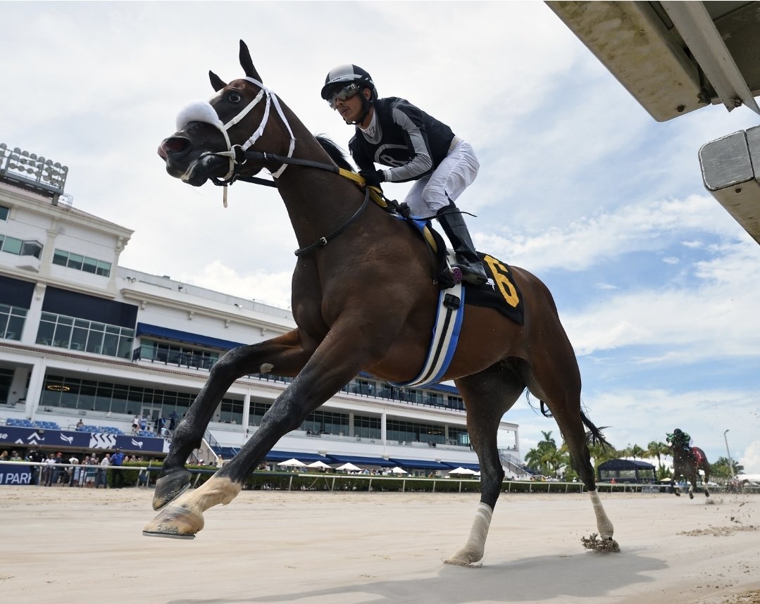 Averill Racing tweet media