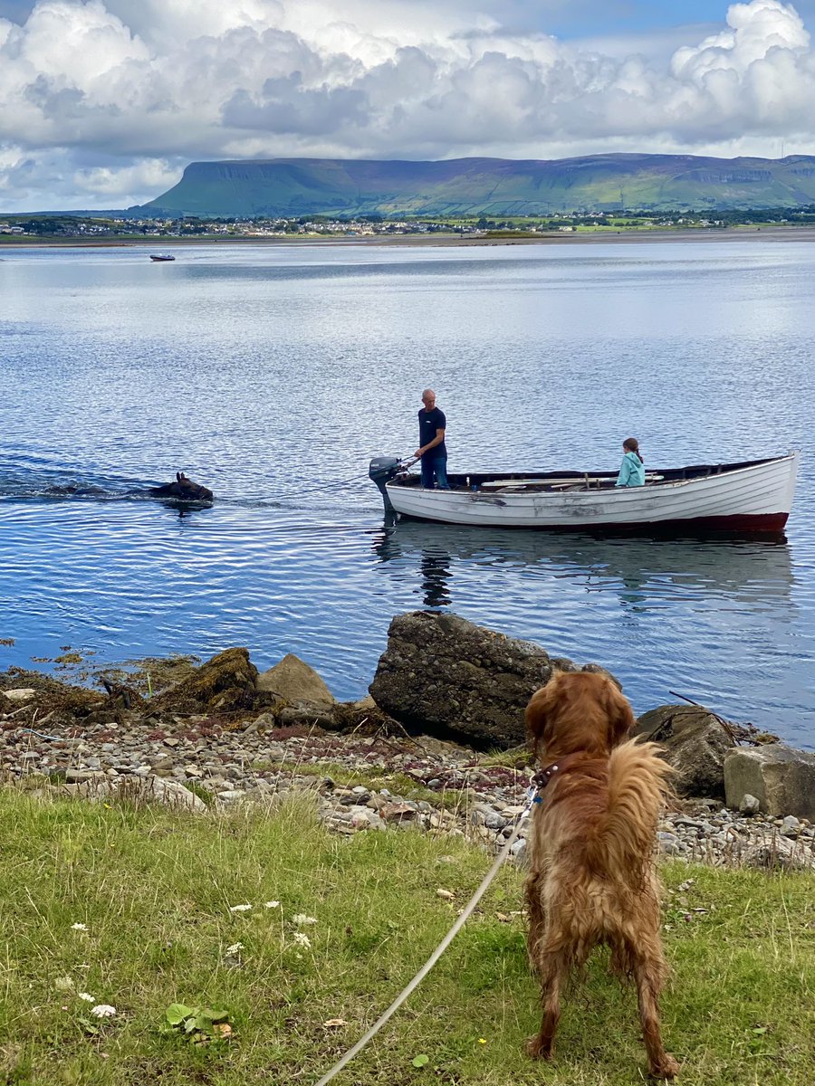 Have you ever stopped to take a photo & think, “Oh my goodness, it’s ALL going on here!?”
.
#ireland #wildatlanticway #dogsofireland #stormhour #benbulben #ThePhotoHour