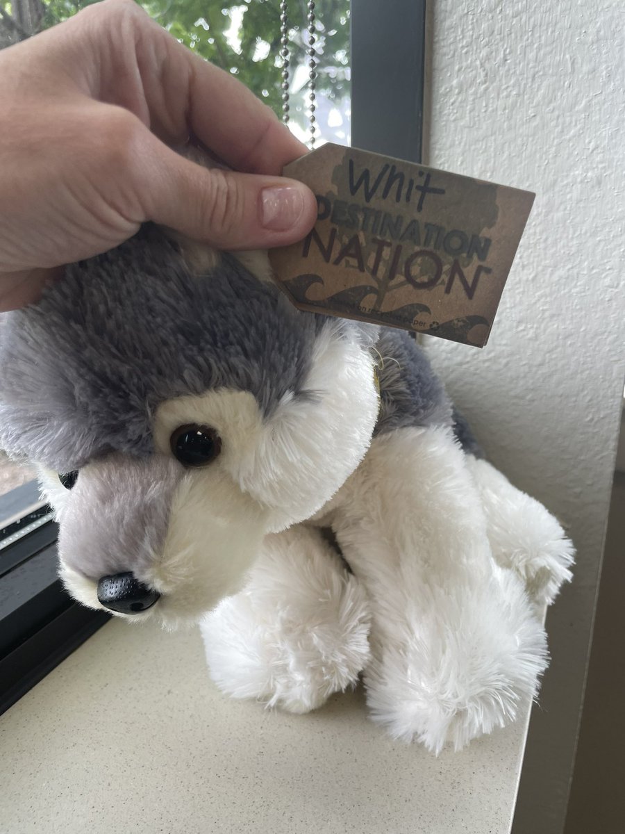 SraPickering's tweet photo. #MISDinspire found some Wolves today!! https://t.co/HNIh56t2gQ