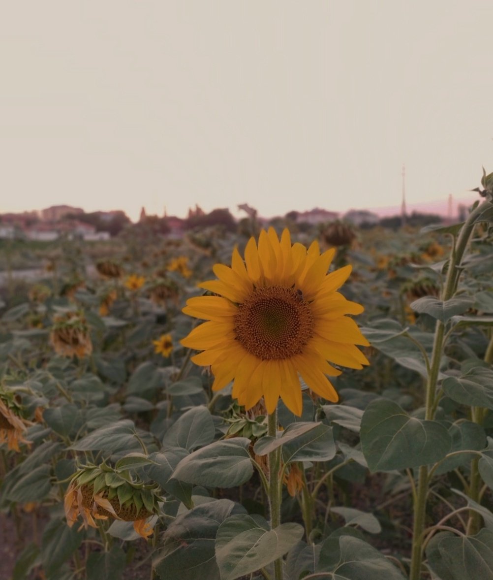 Onun hayatına verdiğim ışık ✨