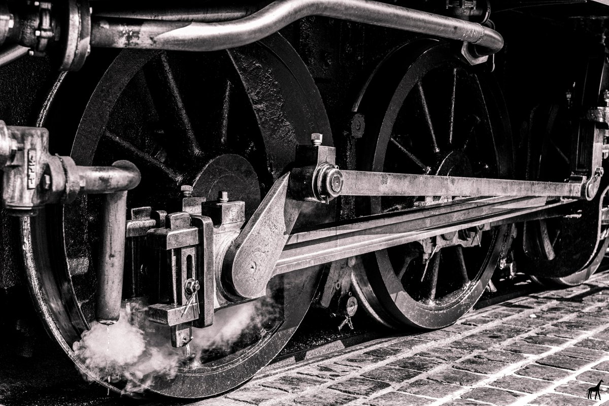 GiraPhotographe tweet media