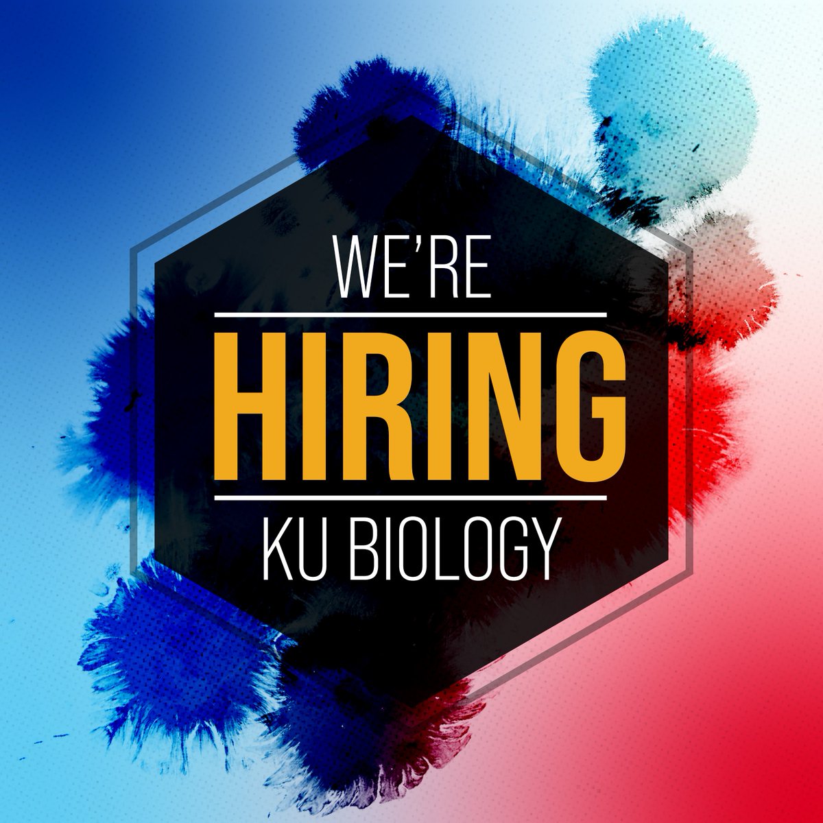<a href="/KUMolBio/">KU Molecular Biosciences</a> seeks 2-3 students to assist with general laboratory cleanup.
10-20 Hours a week for Fall '23 but may extend into Spring '24.
Pay: $13/hour
Apply to the general UTA student pool: ow.ly/rfHj50Pu1TV

Contact Scott Hefty (pshefty@ku.edu) for more information.