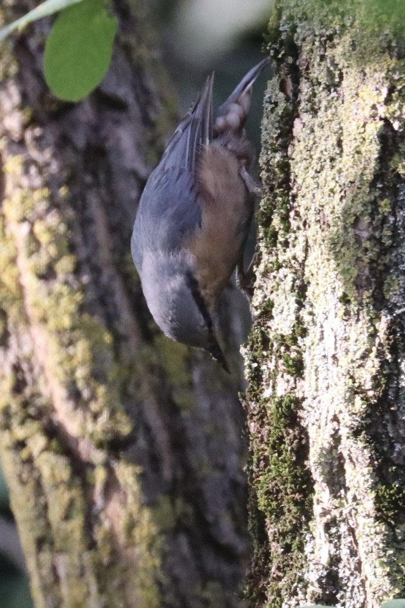 John Ewen tweet media