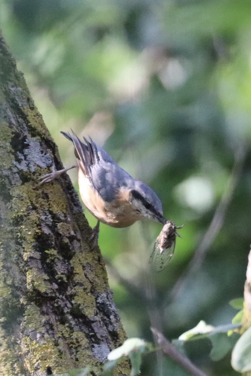 John Ewen tweet media