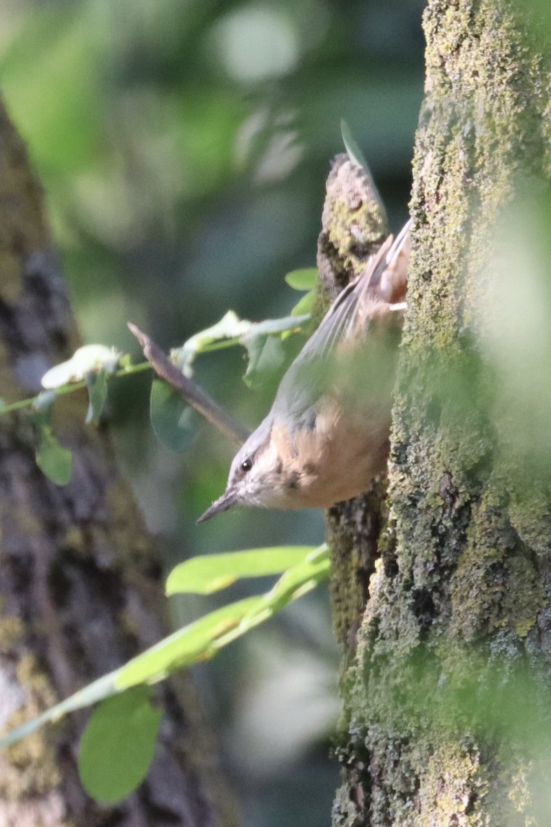 John Ewen tweet media