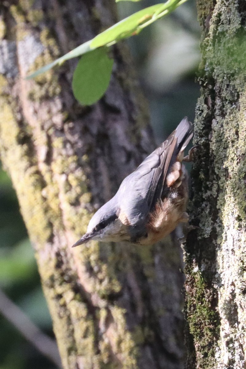 John Ewen tweet media