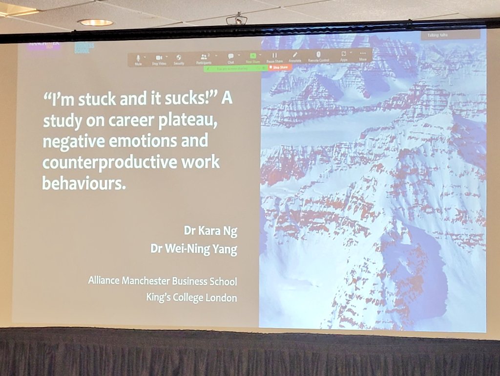 So happy @wyangwn and I got to share our paper on plateauing and counterproductive behaviour to a great audience! An excellent reminder of how supportive academia can be 😊❤️ @kingsbschool @AllianceMBS #AOM2023 (repost bc the last post kept glitching & disappearing!)