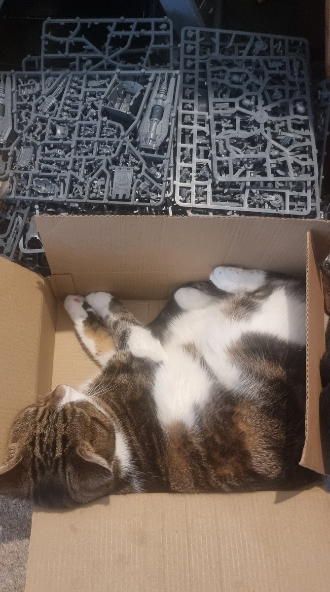 The cat claims she has a new hobby...

When should I start to worry?