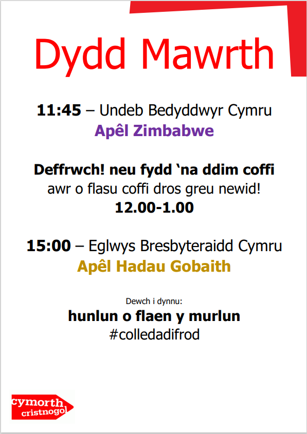 👉Rhaglen Dydd Mawrth Dewch draw i'n gweld ni ym Mhabell Cytun!