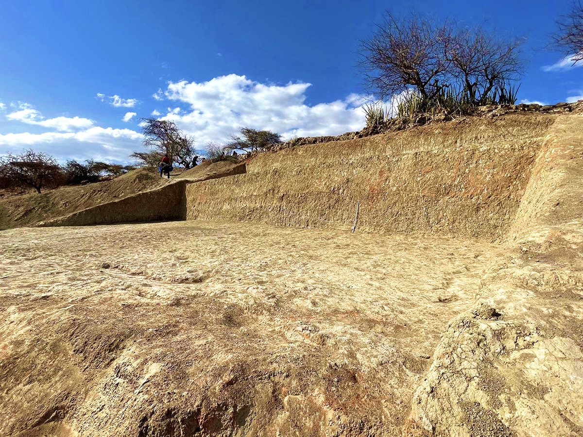 Prof. Julio Mercader Florín tweet media