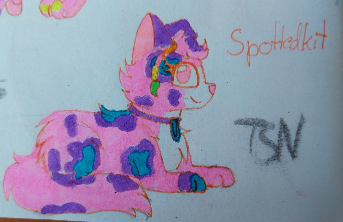 TheSilverNote's tweet photo. Day 219 of 365

Little Spottedkit coming up! Colorkits best friend and Spottedfirs daughter!

#warriorcats #warriors #plushies https://t.co/62K6jgfXBv