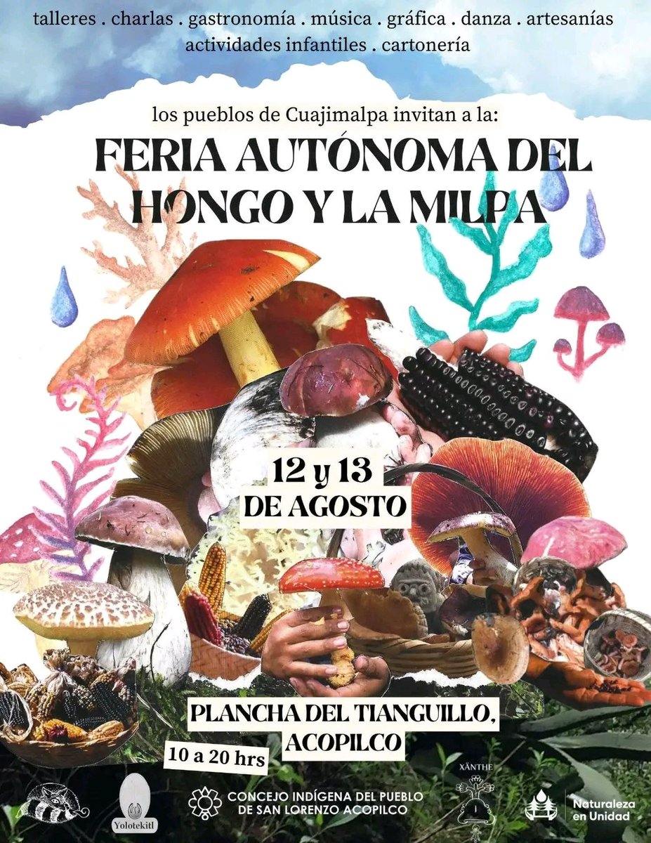 Malegriaa_'s tweet photo. ¡PRÓXIMO FIN DE SEMANA!
HILO DE ACTIVIDADES Y COMO LLEGAR.
Los pueblos originarios de Cuajimalpa invitan a celebrar la primera feria autónoma del hongo y la milpa Recuperemos las prácticas alrededor de los hongos silvestres la milpa y la vida campesina https://t.co/Im38tvGze6