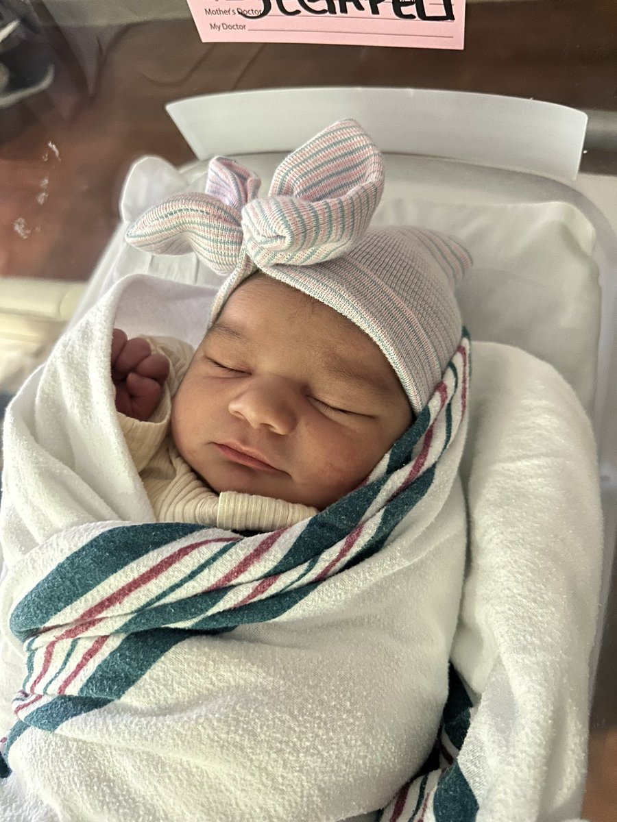 Daniel Chavez tweet media