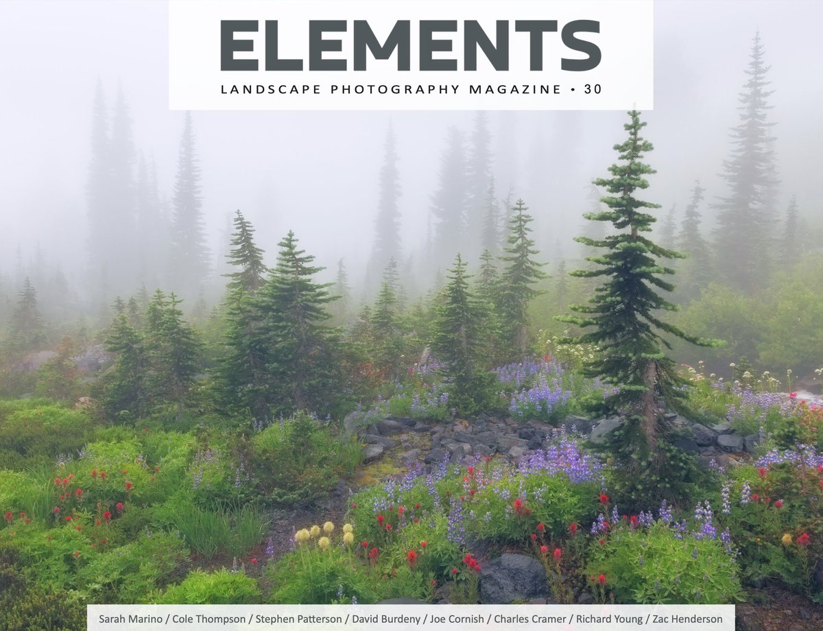 SMarinoPhoto's tweet photo. I'm excited to have my photography and a long interview about my work featured in ELEMENTS Photo Magazine this month. You can find the interview here (subscription required): https://t.co/dEL7PW4bfU https://t.co/OExHoj9dbj