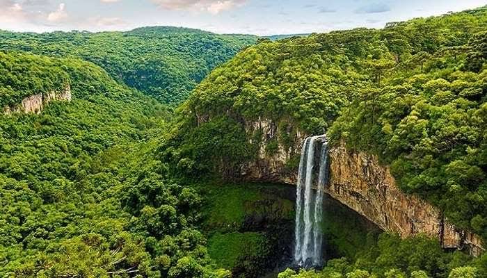 Gabrielasjr's tweet photo. AMAZONAS, Importancia Estratégica  (I).

El área biogeográfica del Amazonas es una extensión  de aproximadamente 7.8 millones de Km2. Mayoritariamente cubierto por ecosistemas de bosque, convirtiéndose en el bosque continuo más extenso sobre el planeta, es decir ~5% de la superficie terrestre
del planeta, un 40% del área de los bosques tropicales del mundo.

La gran dimensión de este mosaico de socioecosistemas, que incluye diversidad de pueblos indígenas, diversidad de ecosistemas de bosque, sabanas y humedales, le confiere una relevancia sin igual sobre la homeostasis del planeta, incluyendo su influencia sobre el clima global y regional, especialmente la precipitación, también sobre los ciclos biogeoquímicos,
especialmente del carbono y del agua, y sus características únicas en diversidad biológica y
cultural. 

Los ecosistemas amazónicos albergan alrededor el 40 % de la selva tropical que aún existe en el mundo, el 25 % de la biodiversidad terrestre y la mayor cantidad de especies de peces que ningún otro sistema fluvial.
 
Se estima que almacena al menos 150.000 y 200.000 millones
de toneladas de carbono (Malhi et al., 2006; Saatchi et al., 2011). Entre los sistemas que más almacenan carbono, tanto en biomasa en pies como en el suelo se encuentran los
humedales. Globalmente el Amazonas concentra la mayor área de humedales del planeta.

Brasil (el país con más humedales), Colombia (número 9) y Venezuela (Número 10) son los  países Amazónicos que se encuentran entre los 10 primeros países con más área de humedales  a nivel mundial (Gumbricht et al. 2017, Mendez-Vallejo y Moreno-Villalobos 2022).

El área biogeográfica del Amazonas es el hogar ancestral de al menos 350  comunidades indígenas, que son también una manifestación del reflejo de la diversidad cultural, histórica y patrimonio de nuestros pueblos.

#CienciaParaLaVida