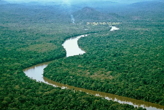 Gabrielasjr's tweet photo. AMAZONAS, Importancia Estratégica  (I).

El área biogeográfica del Amazonas es una extensión  de aproximadamente 7.8 millones de Km2. Mayoritariamente cubierto por ecosistemas de bosque, convirtiéndose en el bosque continuo más extenso sobre el planeta, es decir ~5% de la superficie terrestre
del planeta, un 40% del área de los bosques tropicales del mundo.

La gran dimensión de este mosaico de socioecosistemas, que incluye diversidad de pueblos indígenas, diversidad de ecosistemas de bosque, sabanas y humedales, le confiere una relevancia sin igual sobre la homeostasis del planeta, incluyendo su influencia sobre el clima global y regional, especialmente la precipitación, también sobre los ciclos biogeoquímicos,
especialmente del carbono y del agua, y sus características únicas en diversidad biológica y
cultural. 

Los ecosistemas amazónicos albergan alrededor el 40 % de la selva tropical que aún existe en el mundo, el 25 % de la biodiversidad terrestre y la mayor cantidad de especies de peces que ningún otro sistema fluvial.
 
Se estima que almacena al menos 150.000 y 200.000 millones
de toneladas de carbono (Malhi et al., 2006; Saatchi et al., 2011). Entre los sistemas que más almacenan carbono, tanto en biomasa en pies como en el suelo se encuentran los
humedales. Globalmente el Amazonas concentra la mayor área de humedales del planeta.

Brasil (el país con más humedales), Colombia (número 9) y Venezuela (Número 10) son los  países Amazónicos que se encuentran entre los 10 primeros países con más área de humedales  a nivel mundial (Gumbricht et al. 2017, Mendez-Vallejo y Moreno-Villalobos 2022).

El área biogeográfica del Amazonas es el hogar ancestral de al menos 350  comunidades indígenas, que son también una manifestación del reflejo de la diversidad cultural, histórica y patrimonio de nuestros pueblos.

#CienciaParaLaVida