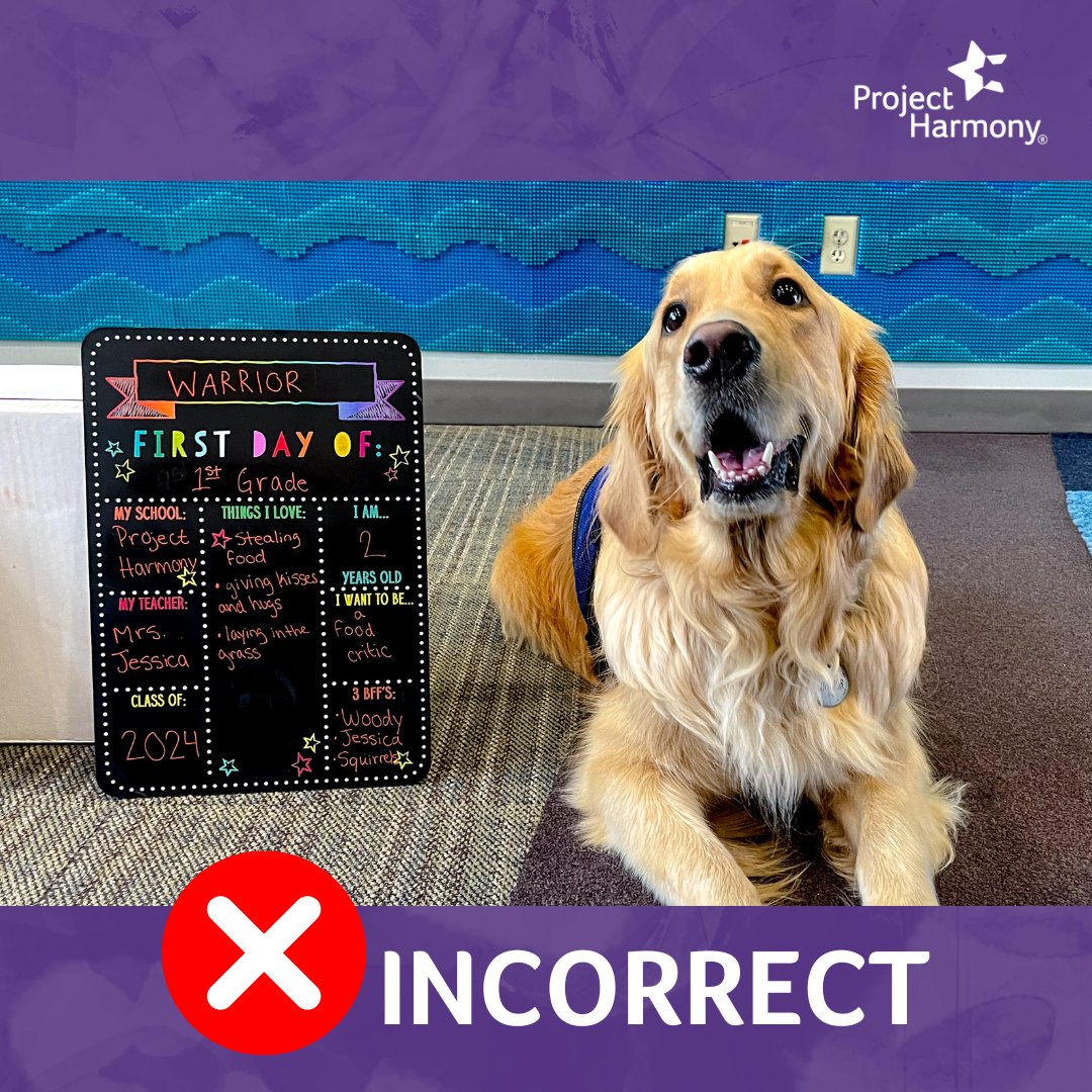 Project Harmony tweet media