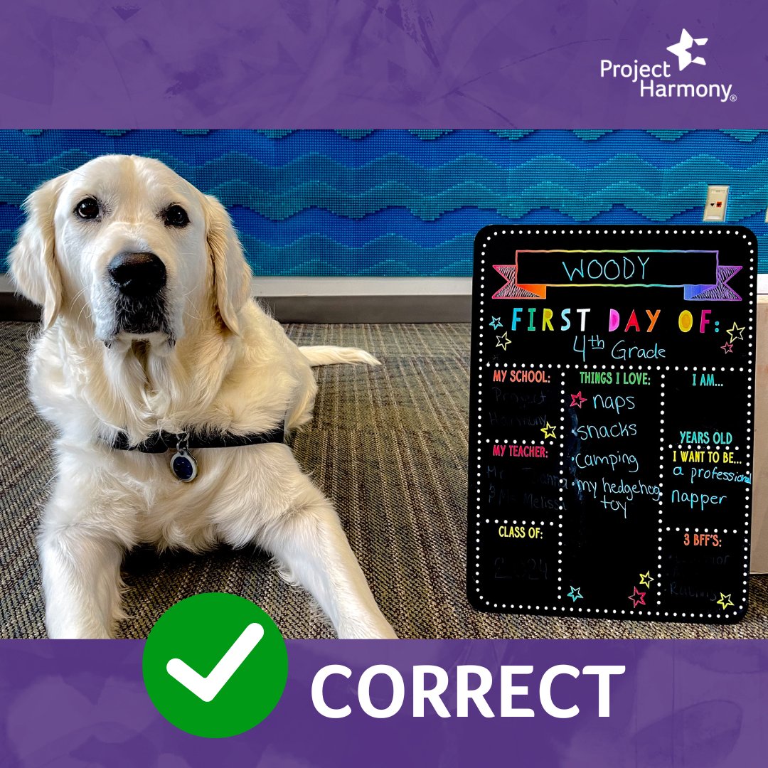 Project Harmony tweet media