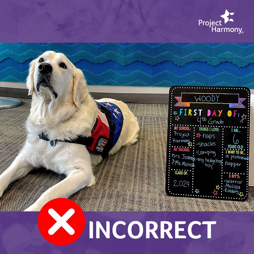 Project Harmony tweet media