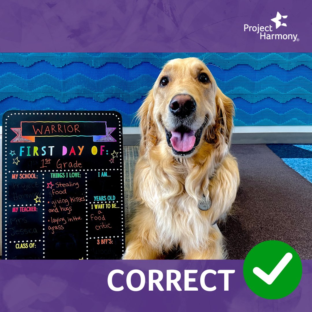 Project Harmony tweet media