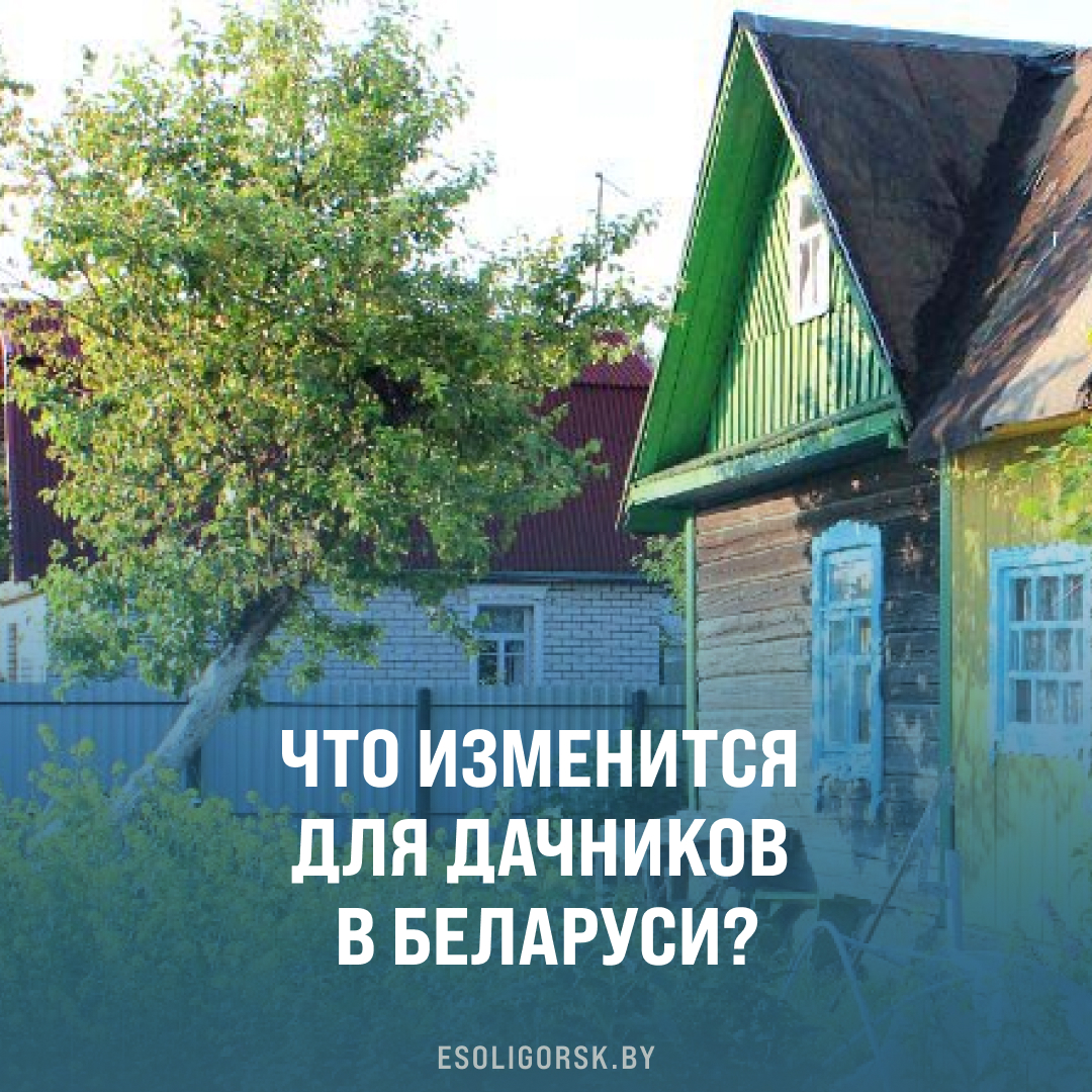 Вынос электросчетчика на столб, заброшенные дачи, расчет членских взносов по числу соток.
Что изменится для дачников, читайте здесь: bit.ly/3rYXgtA