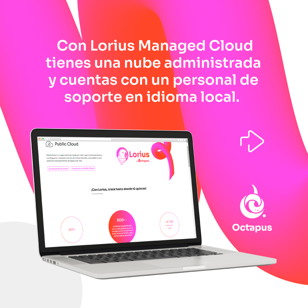 Octapus.io tweet media