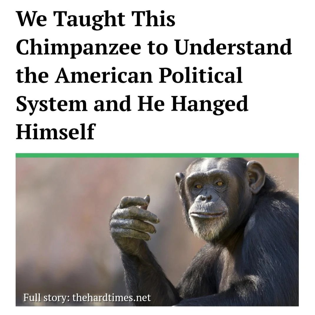 Primate Posting (@primateposting1) on Twitter photo 