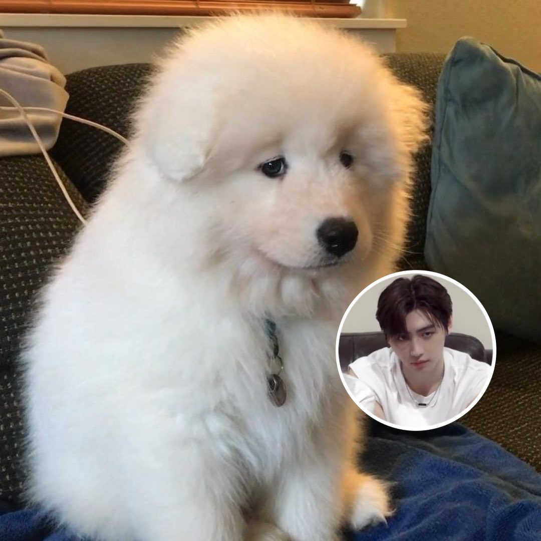 kittieyunie's tweet photo. ก็เราหิวหนิ                      แต่นั่นข้าวเราหนิ https://t.co/pt8XcaO8FQ