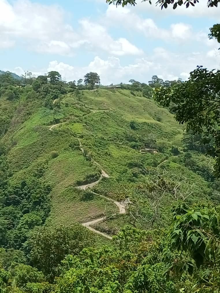 Me fui a Naranjal en las montañas de #Yaracuy estos niños tan fuertes de espíritu que viven en las cumbres Sagradas de Bruzual y entreviste a la Partera del pueblo "Buyayo" la comadrona que tiene más de 70 nietos.

<a href="/InaturYaracuy/">Inatur Yaracuy</a> 
<a href="/gestionperfecta/">Carmen Meléndez</a> 
<a href="/vargas_mimou/">Alexander Mimou Vargas</a> 
<a href="/GobiernoYaracuy/">Gobierno de Yaracuy</a>