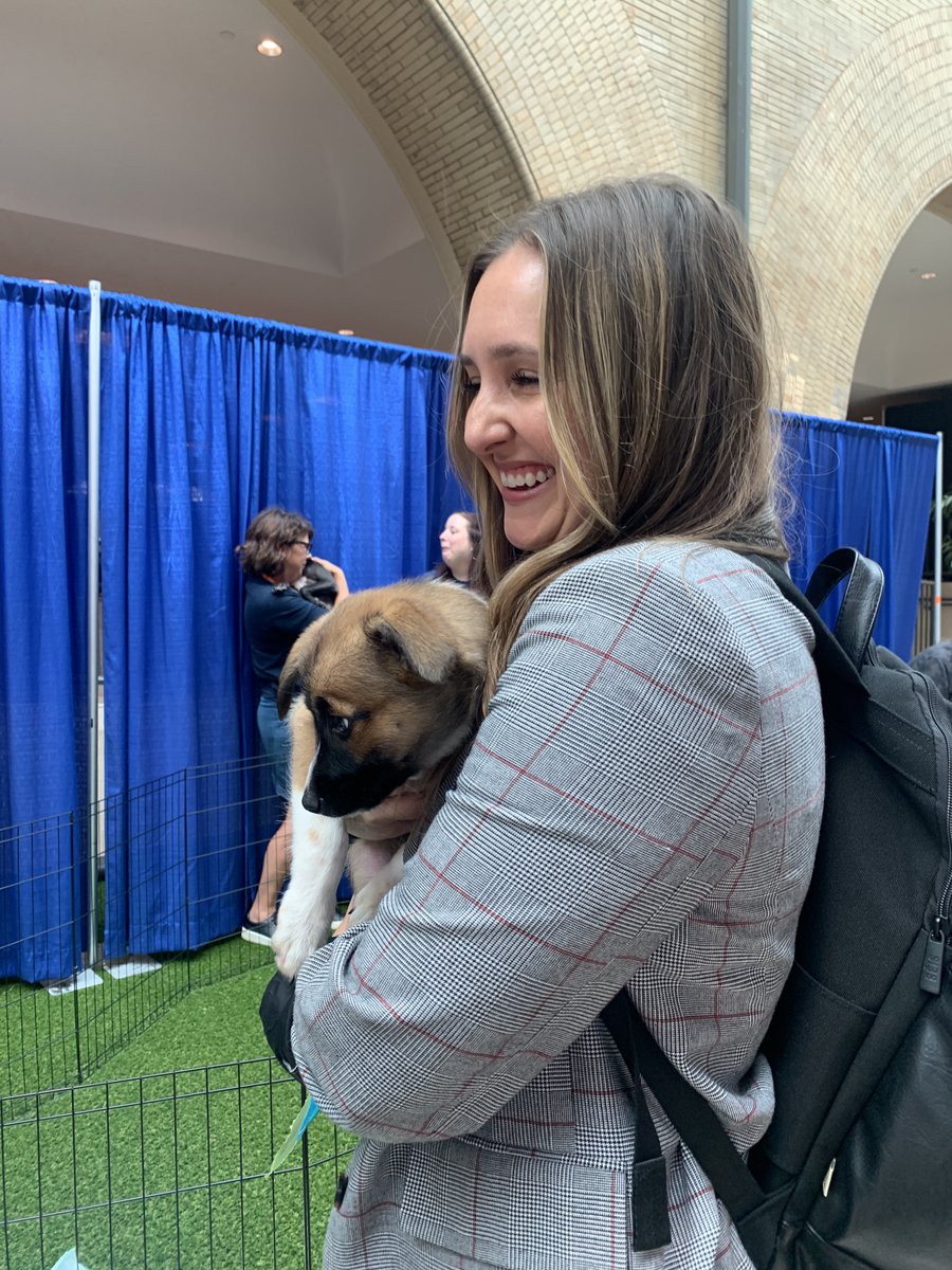 cateked's tweet photo. A5: #PetsOfNSPRA Puppy PawLooza 4Ever! #k12prchat https://t.co/04v9vPOX4R