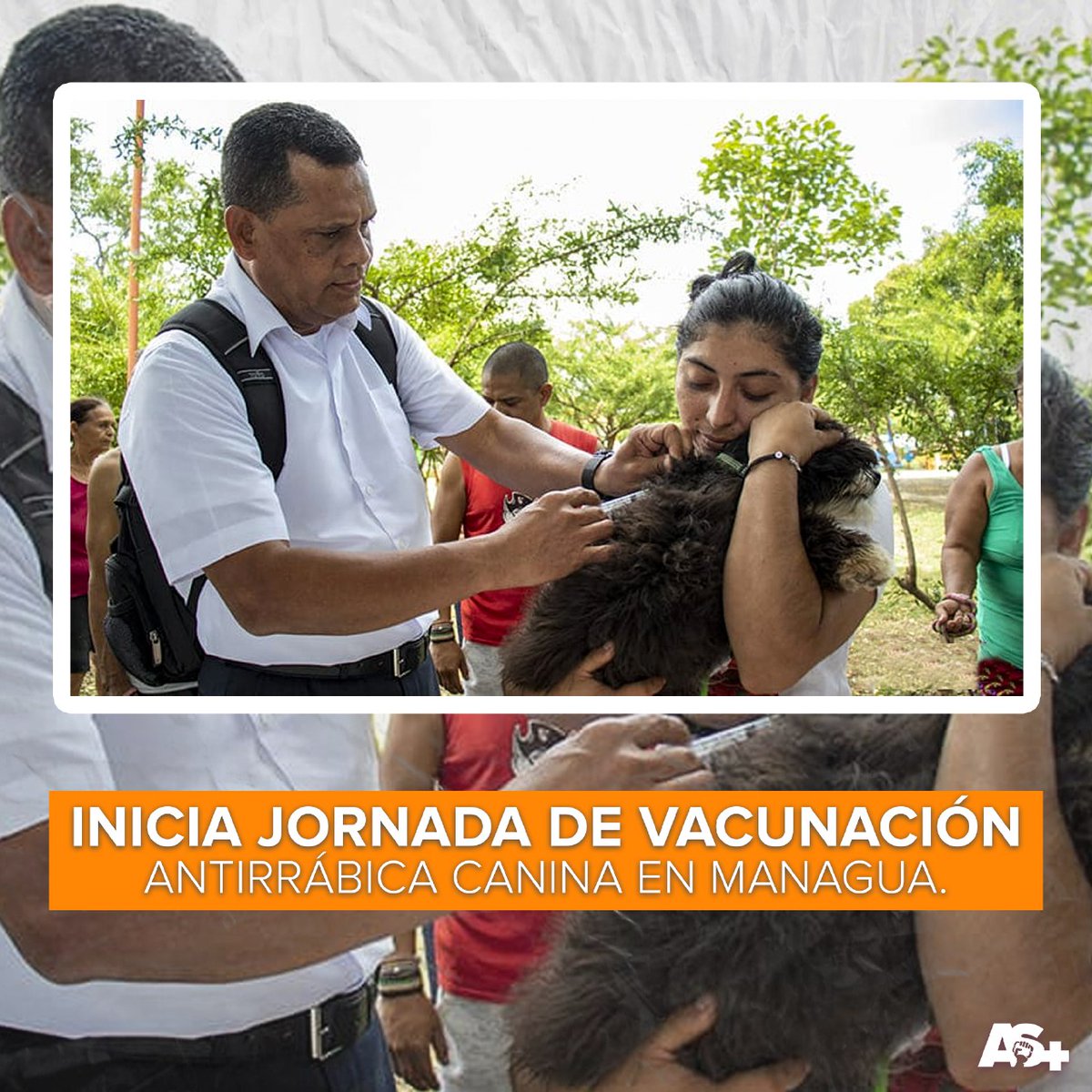 #Nicaragua 🇳🇮 | Dió inicio este lunes en #Managua la campaña departamental de vacunación antirrábica canina, el director de salud ambiental del SILAIS-Managua explicó que la meta de cobertura es vacunar a unos 286 mil canes.🇳🇮✊🏻🐶