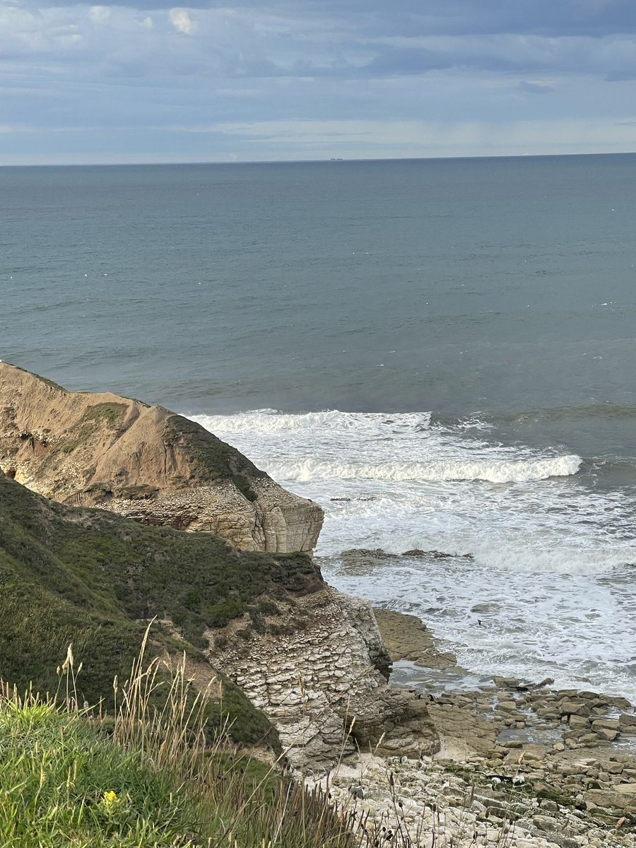 obi1Evans's tweet photo. Thornwick dolphin spotting https://t.co/OryqMsaCjL