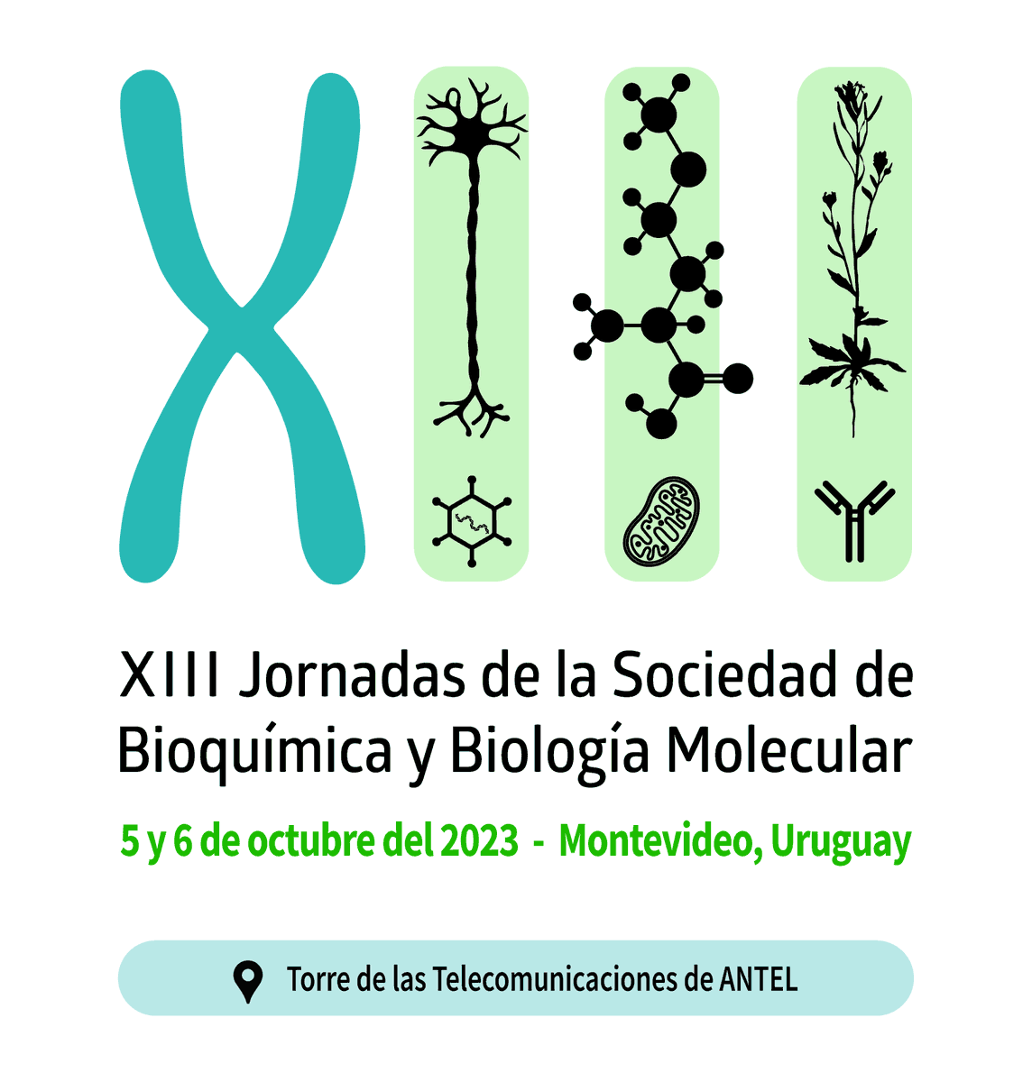 uysbbm's tweet image. Hoy abrimos las inscripciones para las XIII Jornadas! Los esperamos!
sbbm.edu.uy/inscripciones-…