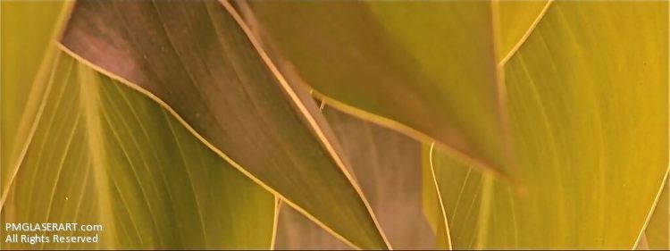 MaryLong9064's tweet photo. <<<<<<<<<<<<
MOM AND DAD
>>>>>>>>>>>>

PAUL MICHAEL GLASER ARTIST

#photography
#life
#youngleaves
#nourishment
#photosynthesis
#fulllife
#aging
#drying
#browning
#fading
#withered
#pmglaserart
#dudleyrd

https://t.co/4NJ4eho3sQ https://t.co/HttQGJqDN4