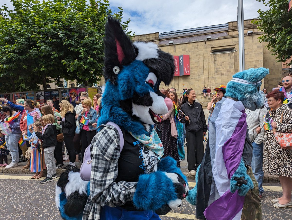 Baby's first pride! ⭐️ 🏳️‍🌈 Loved walking with the @LeedsFurs 🐶🐾