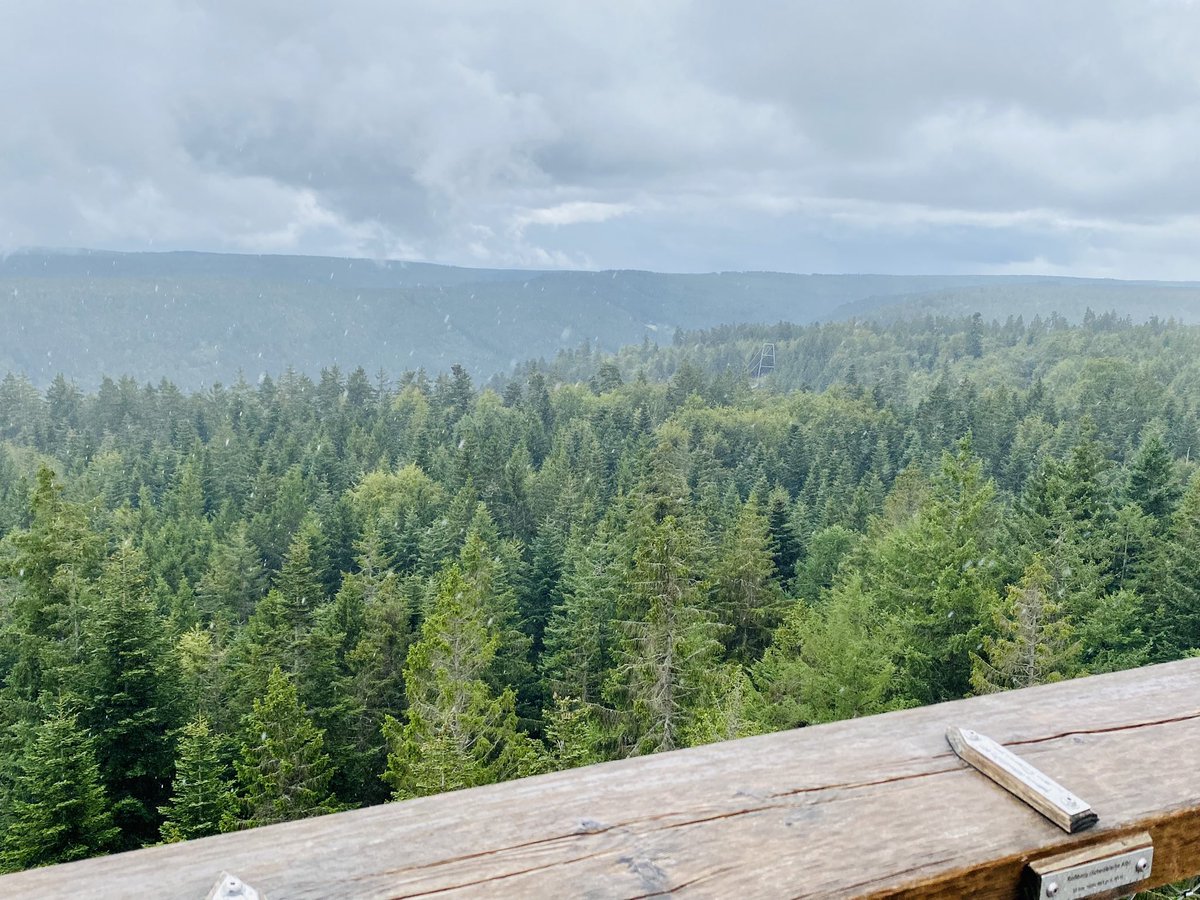 Roisin.Philippe (she/her) tweet media